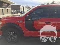 Dodge Ram 1500 window tints